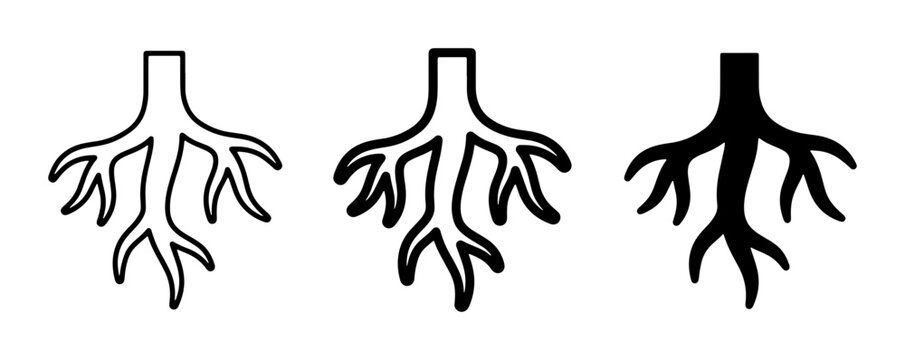 Root System Icons, Plant Roots, Tree Roots, Organic Growth, Biological Structure, Vector Set
