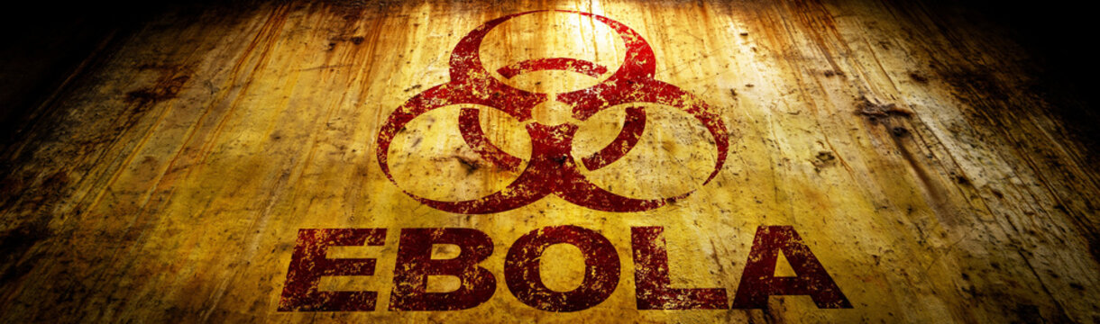 Ebola Warning Symbol: A stark and ominous biohazard symbol emblazoned with the word EBOLA on a weathered, distressed wooden surface, conveying a message of danger and warning.