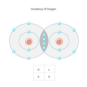 covalency of oxygen, double covaent bond.