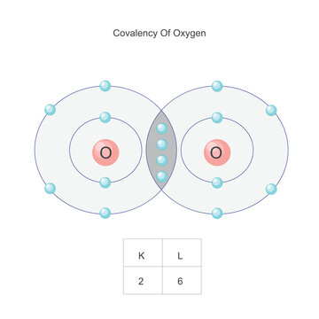 covalency of oxygen, double covaent bond.