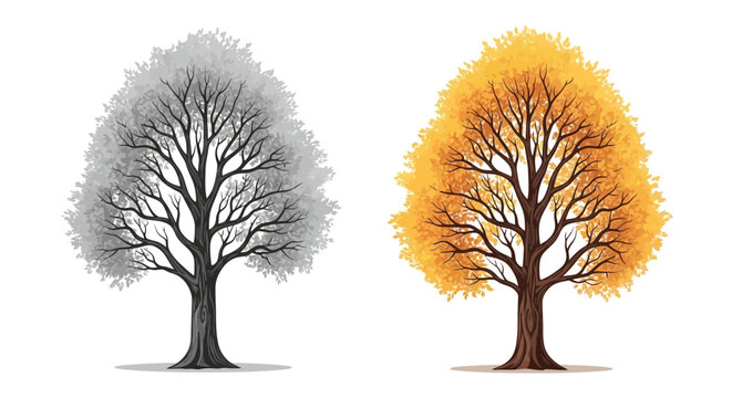 Two trees side by side one grey and bare representing winter or death and one golden with leaves representing autumn or life.