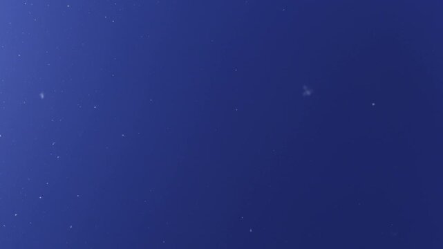 Poplar tree seed fluff floating in the wind against dark blue sky, 4K. The delicate organic particles swirl across a deep dark blue sunny background. Falling snowflakes.