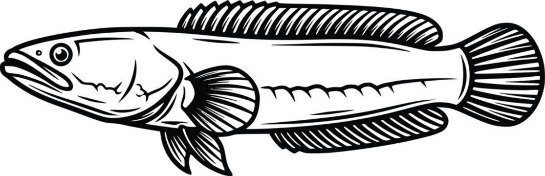 Hand Drawn Snakehead Fish Vector Illustration Black and White Vintage Engraving Style