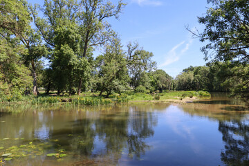 Fototapeta premium Natural environment around Azay‑le‑Rideau castle