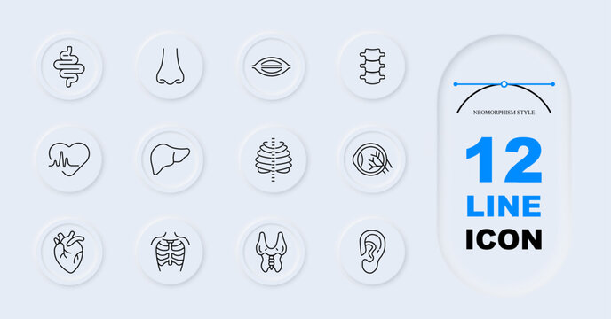 Human anatomy set icon. Line style icons display intestines, nose, lips, spine, heart pulse, liver, rib cage, lung, eyeball, heart organ, chest bones, thyroid, ear.