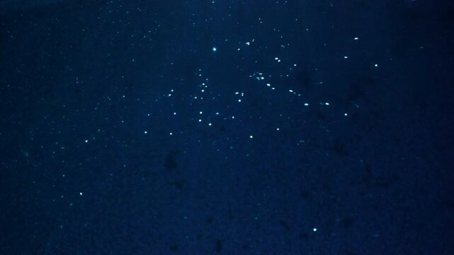 Bright particles flow in a liquid.