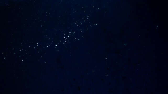 Scintillating bright spots flow in a liquid.