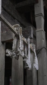 a traditional grave village on the toraja city