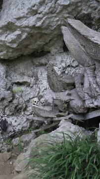 a traditional grave village on the toraja city