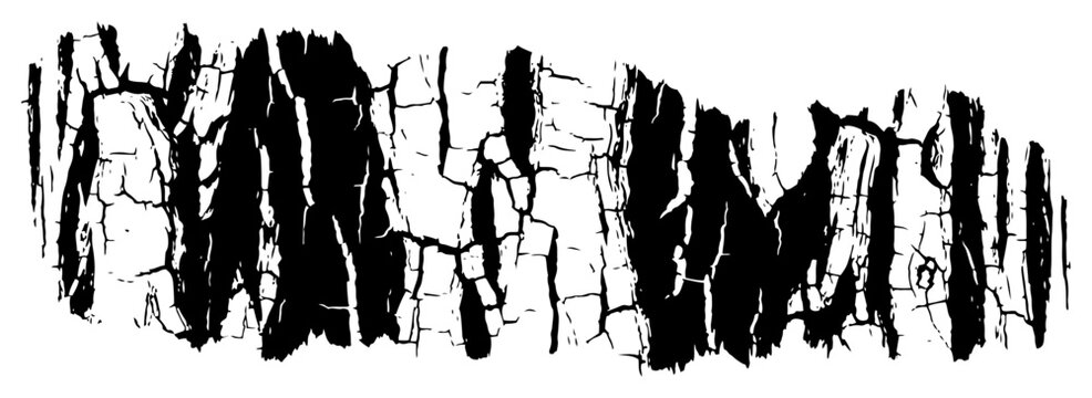 Cracked tree bark texture with rough wood surface details in high contrast black and white style