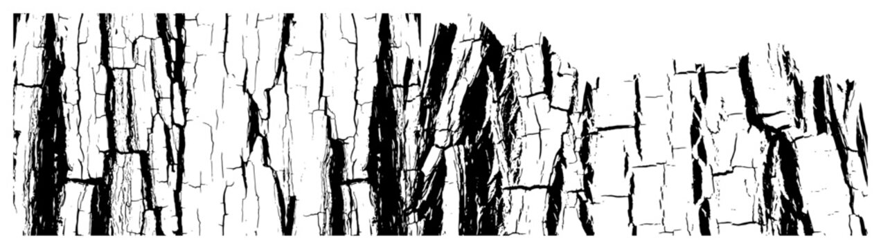 Tree bark texture with deep vertical cracks in high contrast grunge style