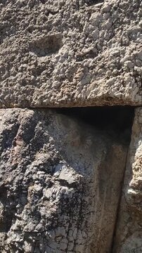 Prehistoric polygonal masonry wall at the Hill of the Nymphs, Athens, Greece, with megalithic stone blocks fitted without mortar.