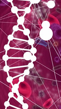 Vertical video: Parallax starting, DNA helix shifting, nodes pulsing, showing magenta bloodstream