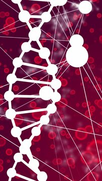 Vertical video: Node cluster appearing, DNA helix oscillating and network pulsing, showing signal