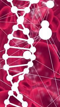 Vertical video: Glint appearing at node causing helix drifting and node pulsing, showing blood flow