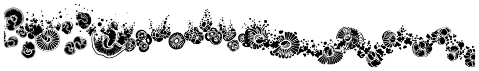 Sea shells and ammonite fossils arranged in decorative horizontal border style © UrbanDruid
