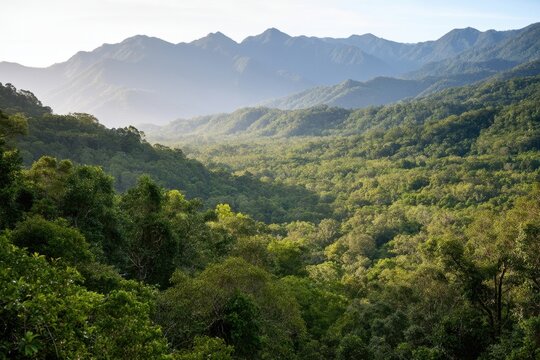 The Forested Valley Reveals Layers of Lush Green Hills and Misty Mountains