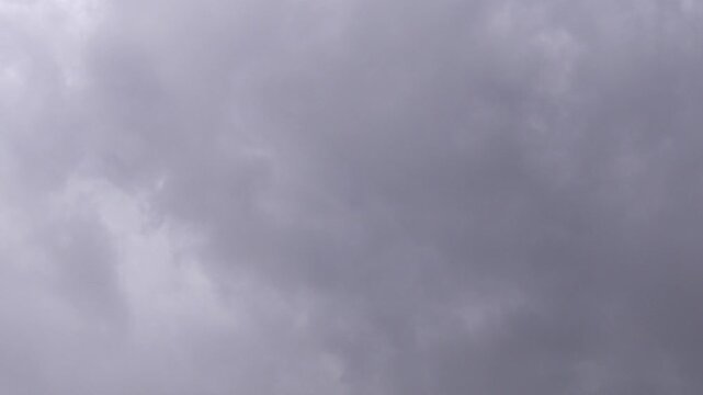 Flock of Parakeets or Parrot Birds Flying in Formation Against Dramatic Moody Grey Cloudy Sky