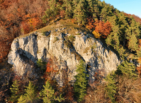 Mountains at sunset. Landscape with hills orange trees and grass in fall, colorful sky with golden sunbeams. Seasonal natural scene
