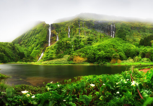 Waterfall Ribeira do Ferreir with lake. The green jungle landscape of vegetation dominates the panorama. Flores Island, Portugal.