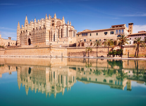 Cathedral of Mallorca and park with palm trees. Parc de la Mar in Palma de Mallorca - panorama
