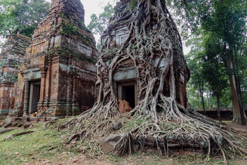 Fototapeta premium Ancient temple ruins of Koh Ker, Cambodia, overgrown with tree roots, showcasing the enduring power of nature over man-made structures.