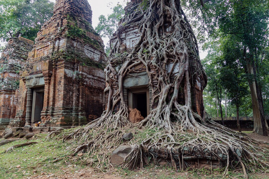 Ancient temple ruins of Koh Ker, Cambodia, overgrown with tree roots, showcasing the enduring power of nature over man-made structures.
