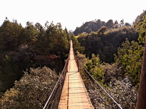 puente colgante en cascadas para&iacute;so Honey, Puebla