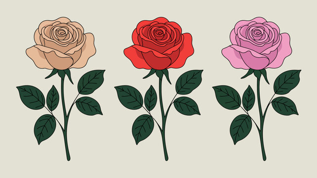 three roses illustration with green leaves pastel and red floral design on beige background