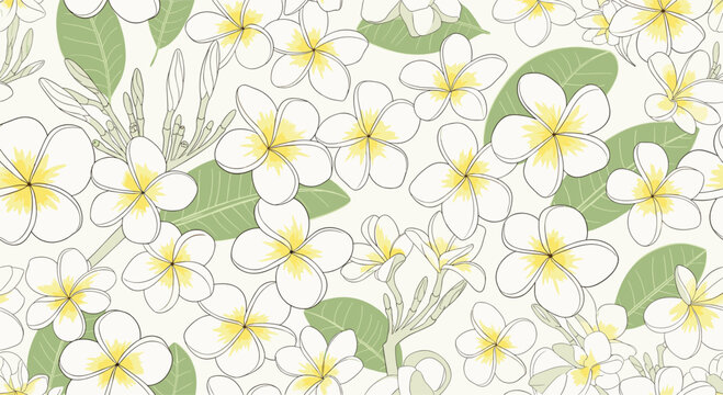 Tropical seamless pattern of white plumeria frangipani flowers with yellow centers and green leaves in a sketch style background.