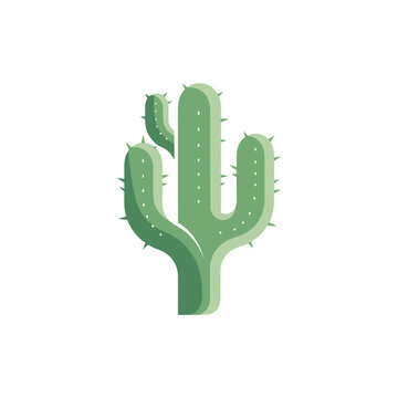 Green Cactus Plant with Sharp Spines.
