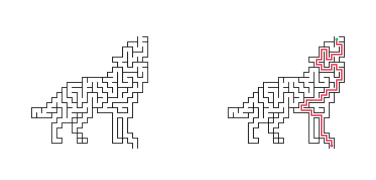 Wolf howling at moon maze with solution. Black and white flat vector labyrinth, animal logic puzzle game