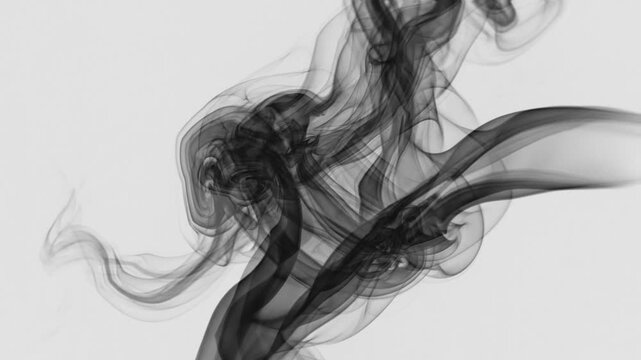 Abstract elegant black smoke swirls floating on clean white background