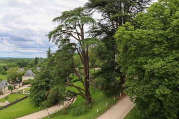 Obraz premium Rustic garden path at Ussé estate