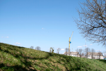 Obraz premium Landcsape with a tree branches, houses and crane against blue sky