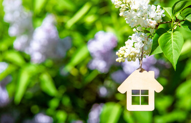 Naklejka premium The symbol of the house among the branches of the white lilac