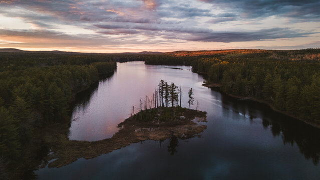 Small island with trees on calm lake at dusk, Machias Lake, Maine