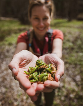 Smiling woman holds fresh green fiddlehead fern in open palms
