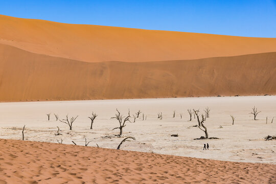 Two people walking among dead trees in Deadvlei