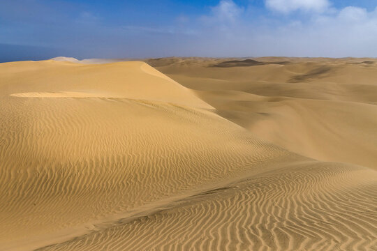 Golden rippled sand dunes stretching to the horizon