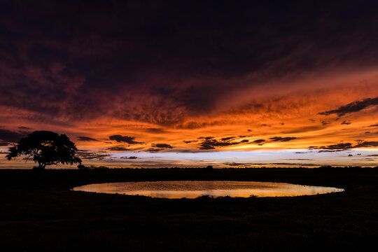 Fiery sky reflects in a tranquil pond at dusk