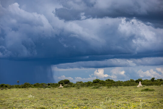 Storm clouds gather over a vast African savanna