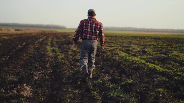 Walk in farmland, back view of villager walking alone in beautiful rural scenery . Amazing nature of agricultural region, farmer examining his own lands, planning sowing and harvesting, slow motion