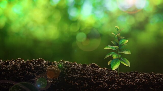 Ecology conservation and environmental awareness concept