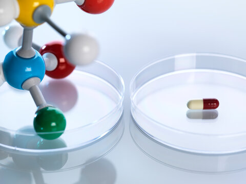 Molecular model next to a capsule in petri dishes