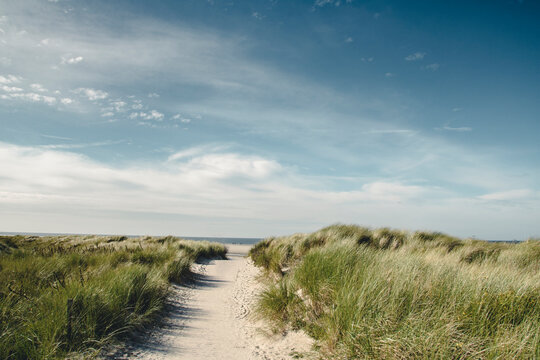 Germany, Spiekeroog, path through dunes