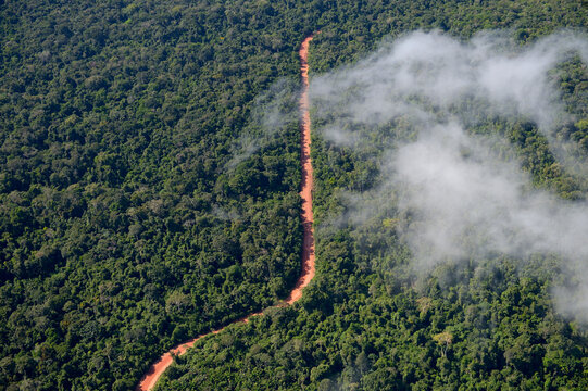 Brazil, Para, Trairao, road through Amazon rainforest used by timber mafia