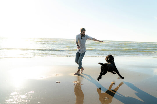 Young man running and playing with his dog on the beach