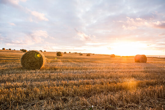 France, Normandy, Yport, straw bales on field at sunset