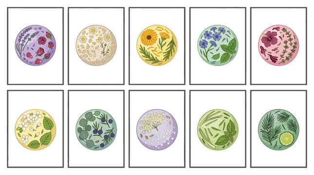 Collection of colorful microscopic cells with diverse shapes and patterns